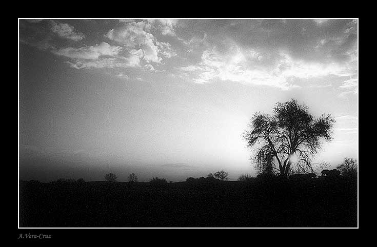 фото "There is Sunset in B&W too !" метки: пейзаж, закат