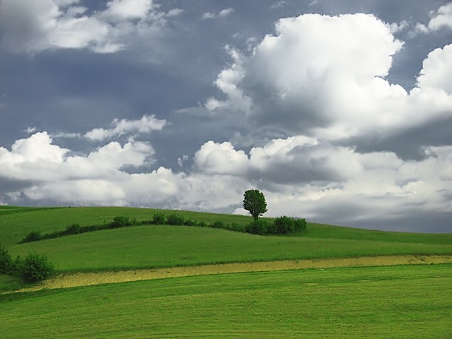 photo "Defiance" tags: landscape, clouds, spring