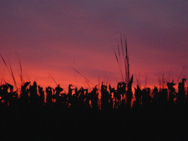 фото "Red sunset" метки: пейзаж, природа, закат