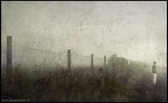 photo "Fenced" tags: misc., 