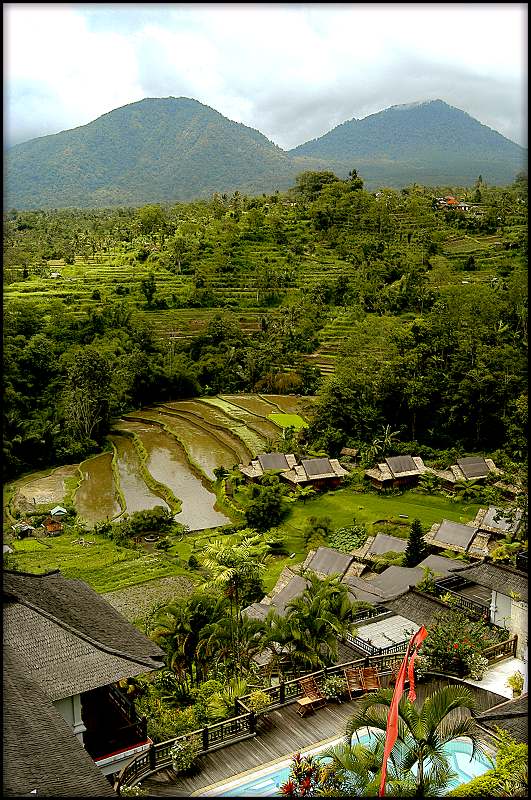 photo "Rice field. Indonesia" tags: landscape, mountains