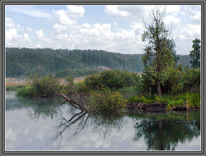 photo "Koion-river" tags: landscape, summer, water