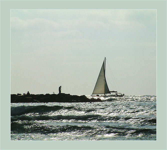 photo "Way to quay" tags: landscape, summer, water