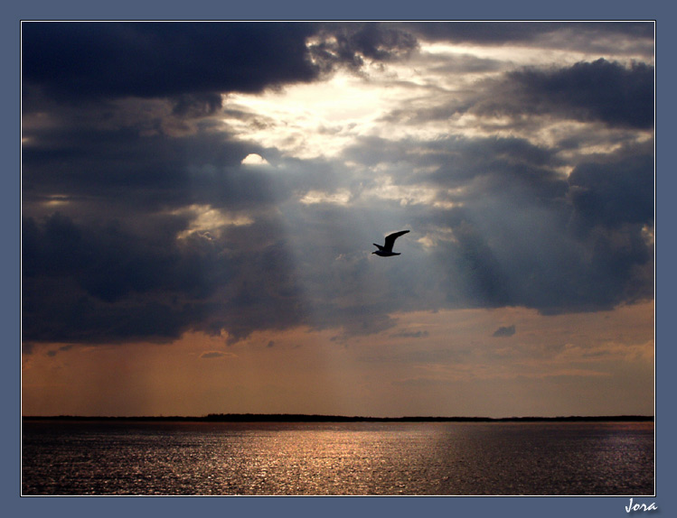 photo "There will be a storm" tags: landscape, sunset, water