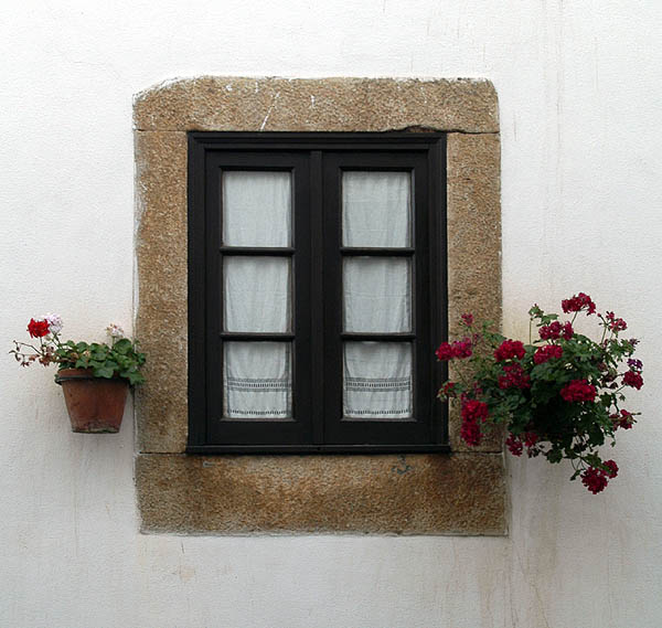 фото "Flowers and the window" метки: разное, 