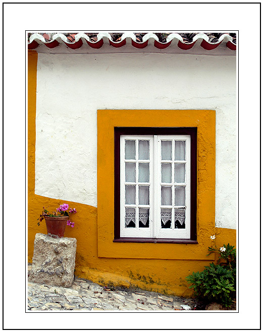 photo "A Flowers`s Song for an Yellow Window" tags: architecture, landscape, 