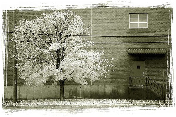 photo "From a series Walls..." tags: architecture, nature, landscape, 