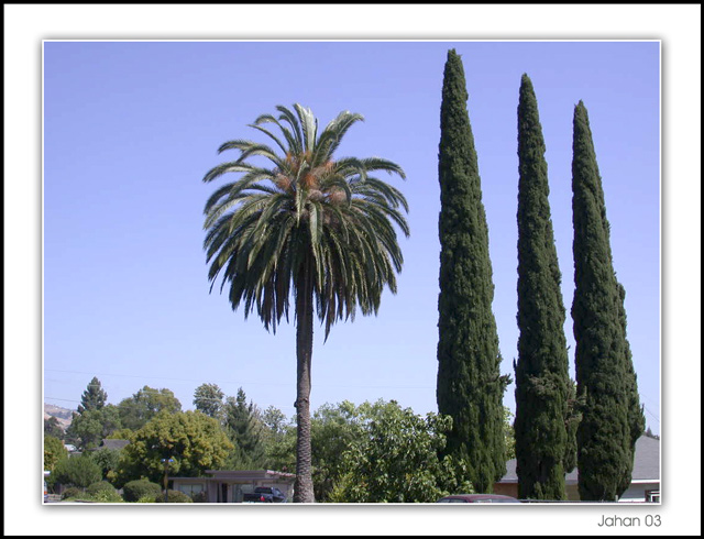 фото "San Jose`s Nature" метки: путешествия, природа, Северная Америка