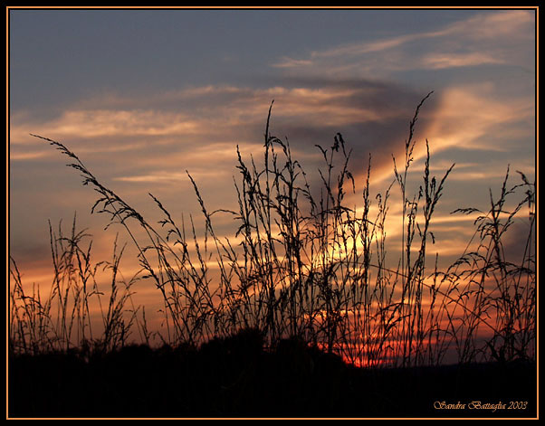 фото "Sunset Silhouettes" метки: пейзаж, закат, облака