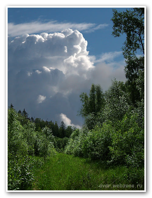 photo "After rain" tags: landscape, clouds, forest