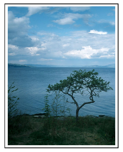 photo "Ocean view in Norway II" tags: travel, Europe