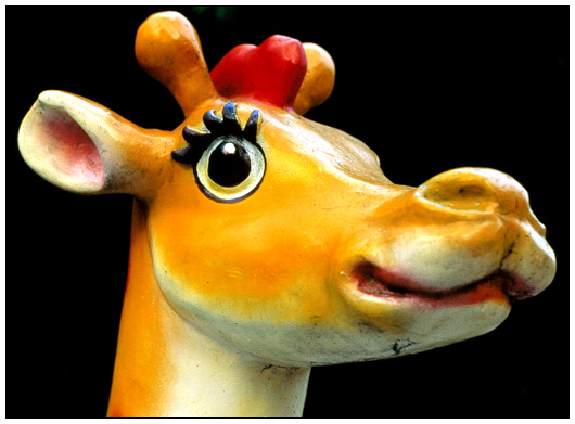 photo "Giraffe" tags: nature, humor, wild animals