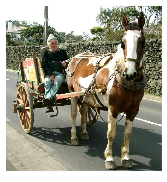 photo "Milkman" tags: misc., 