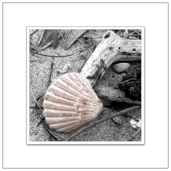 photo "Beach Collisions" tags: still life, montage, 