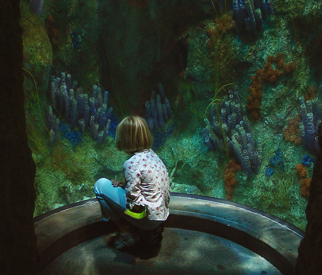 photo "A Window Into The Other World" tags: misc., 