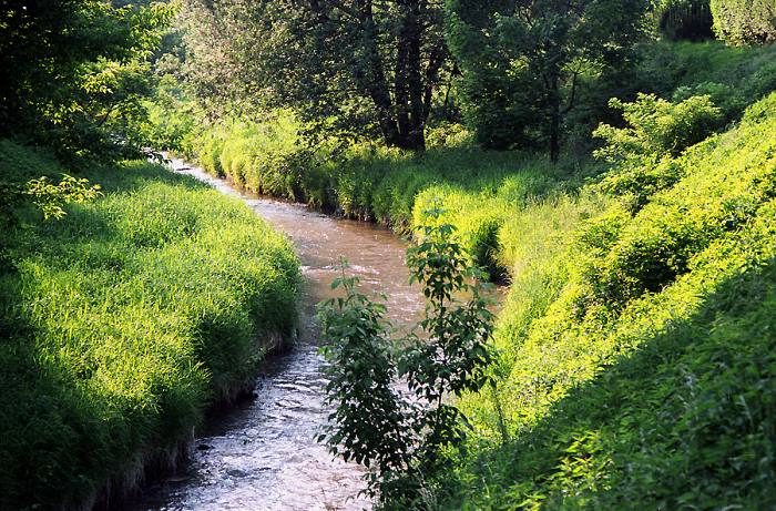photo "my river" tags: landscape, water
