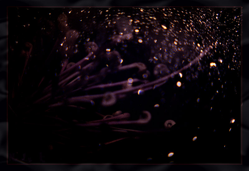 photo "On me night was omitted...Go all from me,away..." tags: misc., 