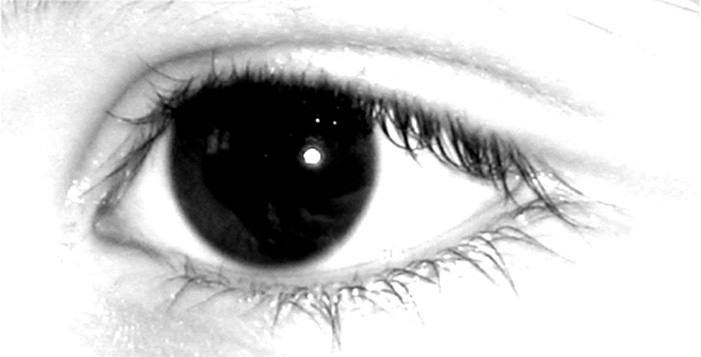 фото "Black eye" метки: черно-белые, 