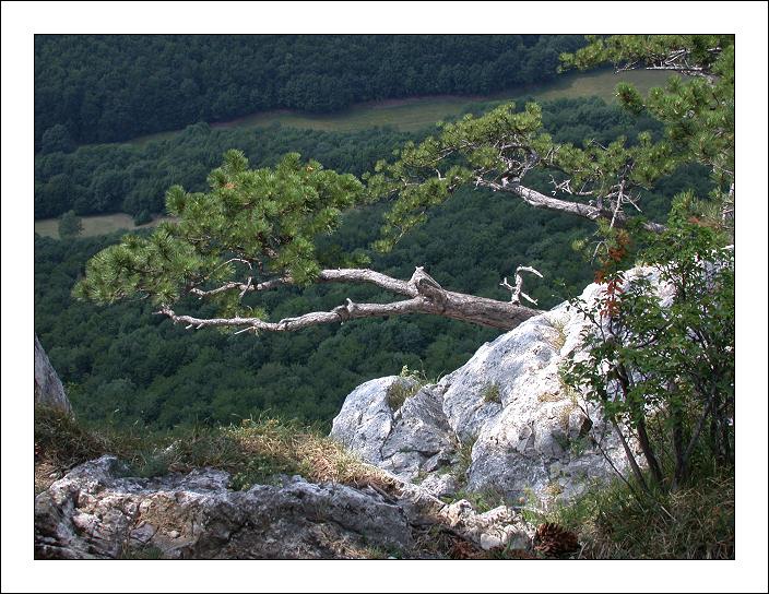 photo "Looking Down From A Cliff" tags: travel, landscape, Europe, mountains