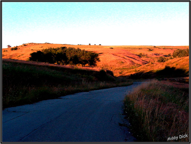 photo "evening ray" tags: landscape, summer