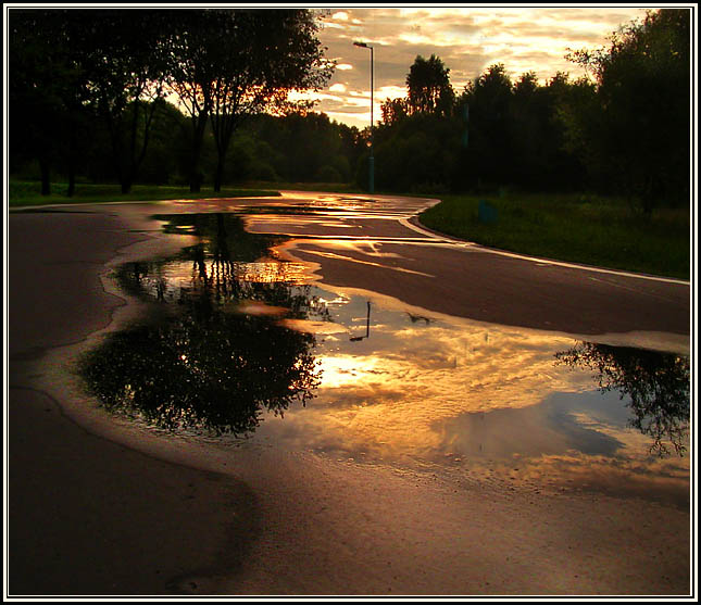 photo "Shower of gold" tags: landscape, sunset