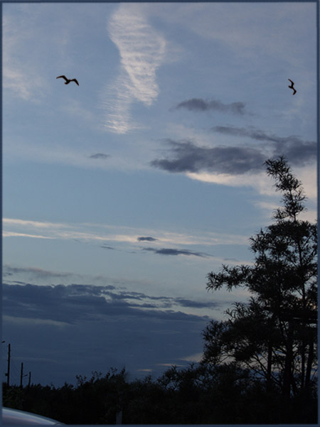 photo "Evening..." tags: landscape, clouds, summer