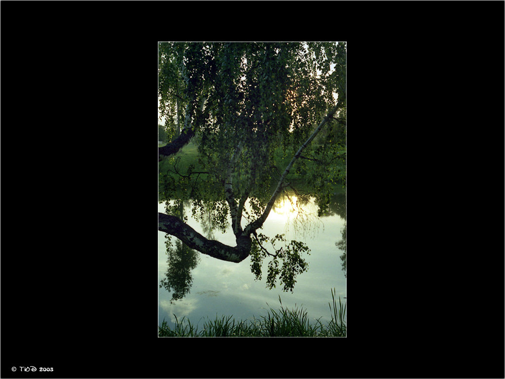 фото "Июльский вечер" метки: пейзаж, вода, лето
