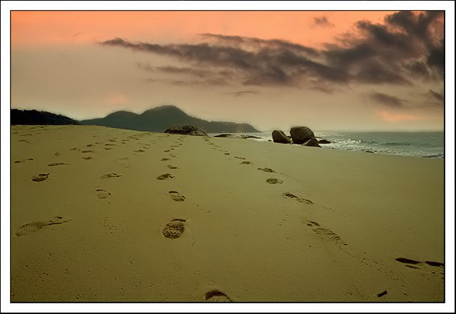 photo "on the track of" tags: landscape, sunset