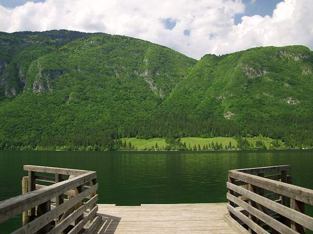 photo "Invitation" tags: landscape, forest, water