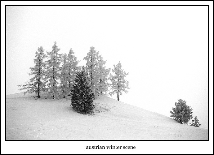 photo "austrian winter scene" tags: landscape, travel, Europe, winter