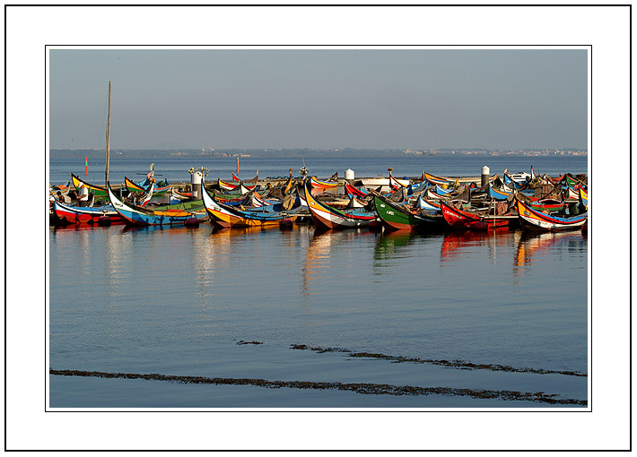 photo "The Fleet of the Light and Peace" tags: landscape, water