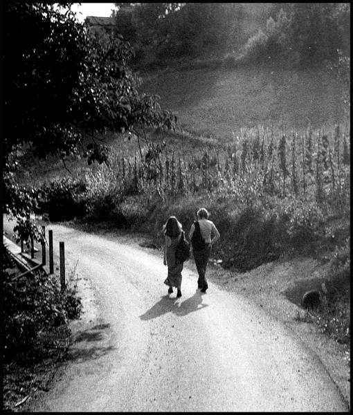 photo "Walk" tags: black&white, landscape, summer
