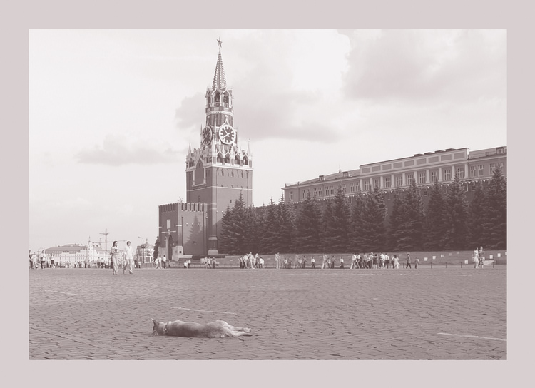 фото "Нежность" метки: черно-белые, архитектура, пейзаж, 