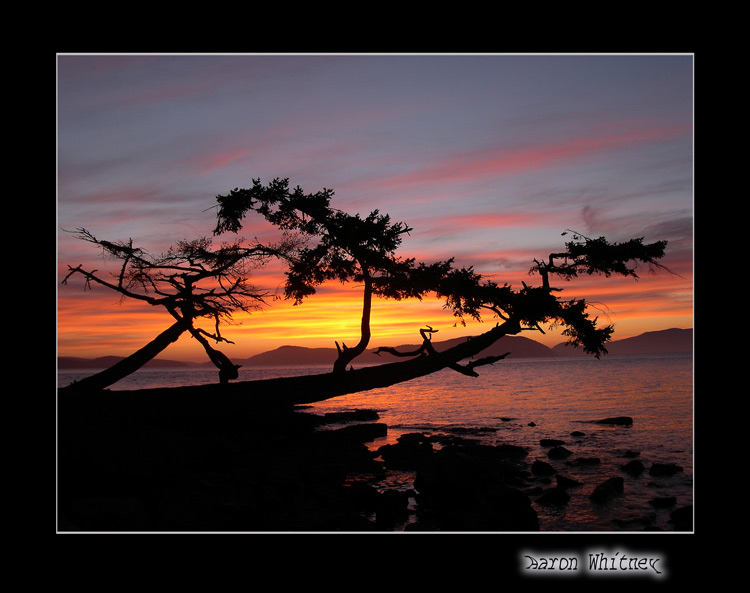photo "Sunset #2" tags: landscape, sunset, water