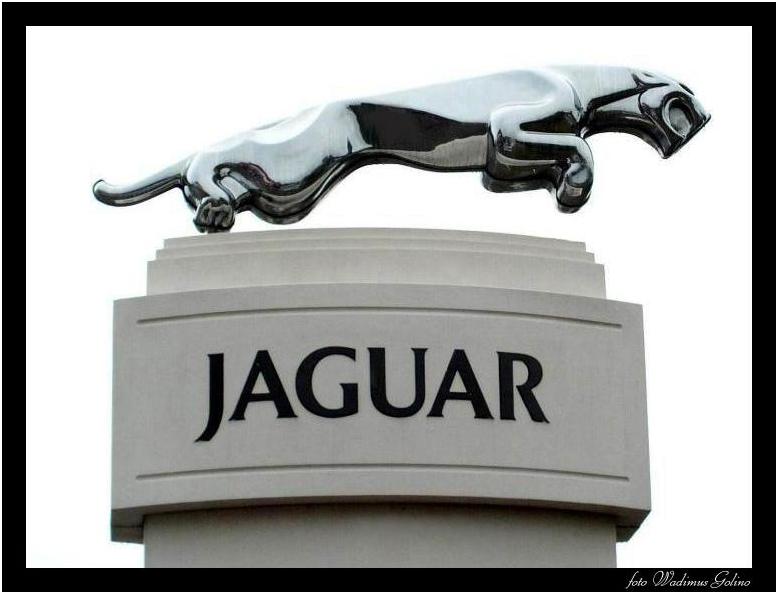 photo "Jaguar." tags: misc., abstract, 
