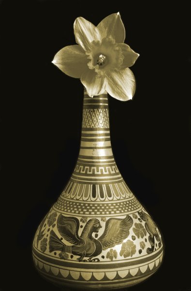 photo "Untitled photo" tags: still life, 