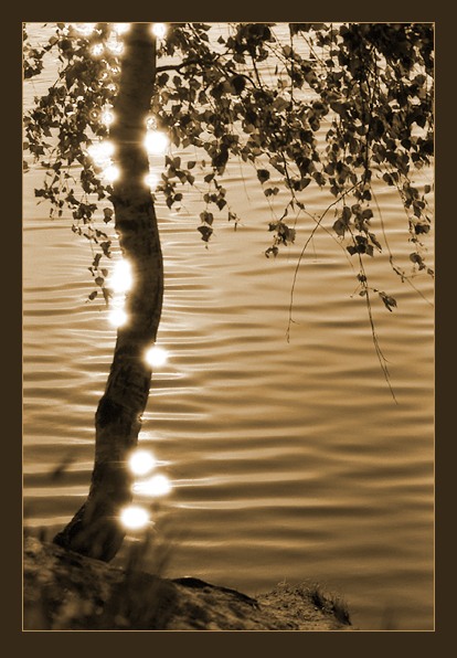 фото "Обрученная с солнцем" метки: пейзаж, вода, лето