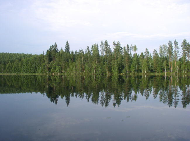 photo "The timber lake in Finlands" tags: landscape, forest, water