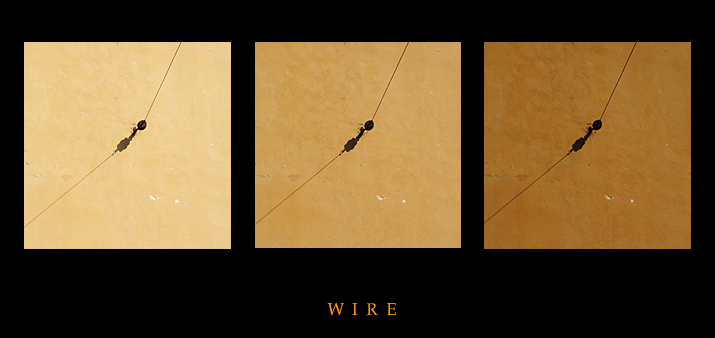 photo "W I R E" tags: abstract, 