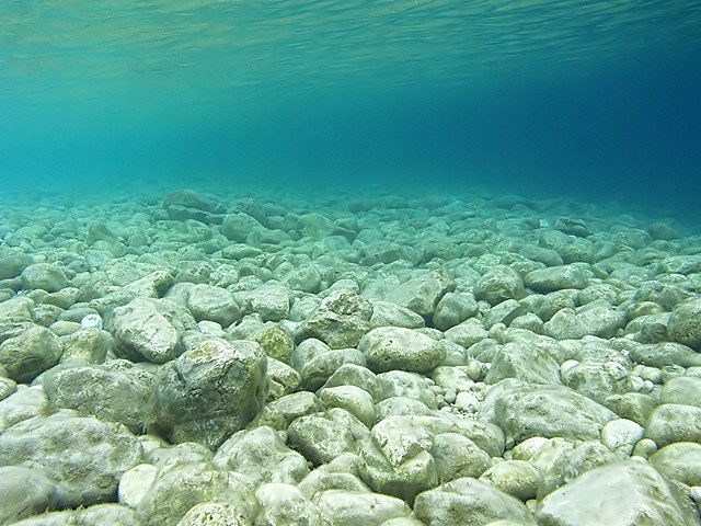 photo "Big Blue" tags: landscape, summer, water