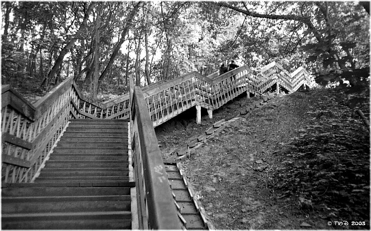 photo "Staircase to the Light" tags: landscape, forest, summer