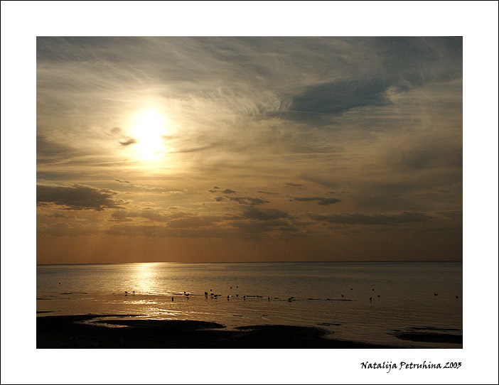фото "Sunset Scene With Seagulls" метки: пейзаж, закат, лето