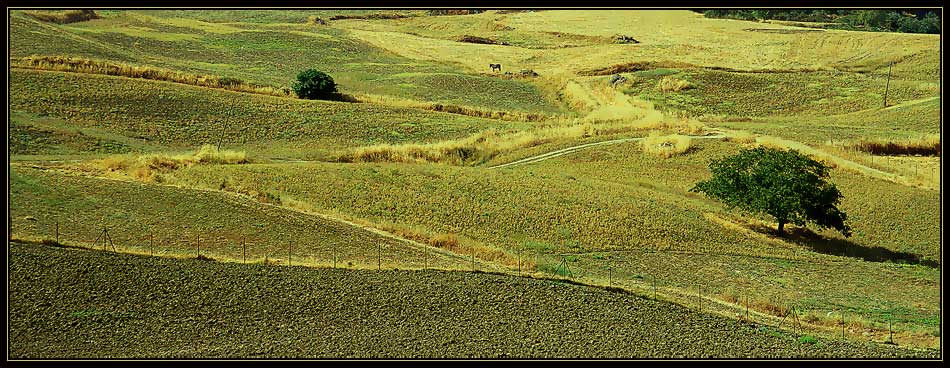 photo "Untitled" tags: landscape, travel, Europe, autumn