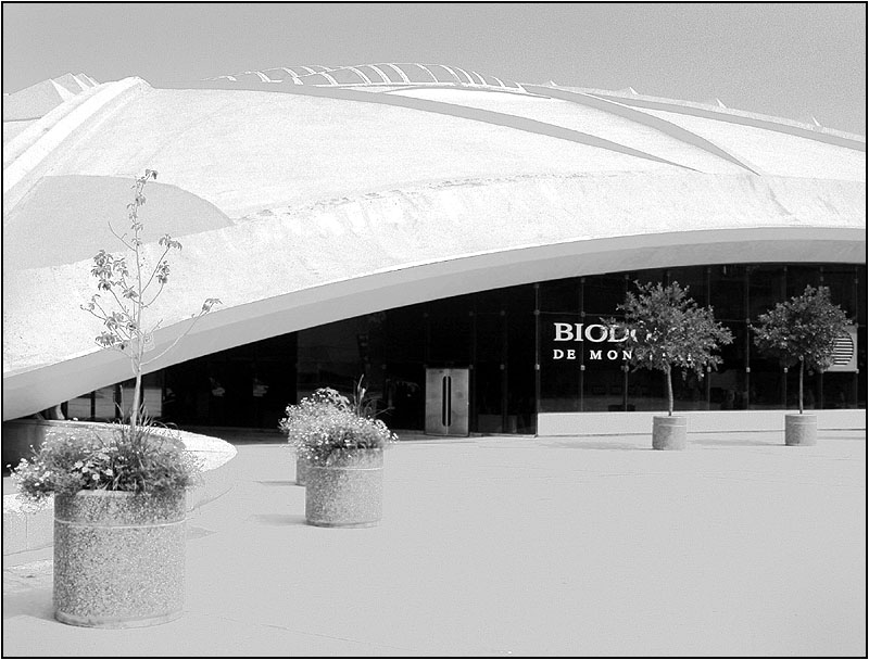 photo "Biodome, Mision to Mars" tags: black&white, architecture, landscape, 