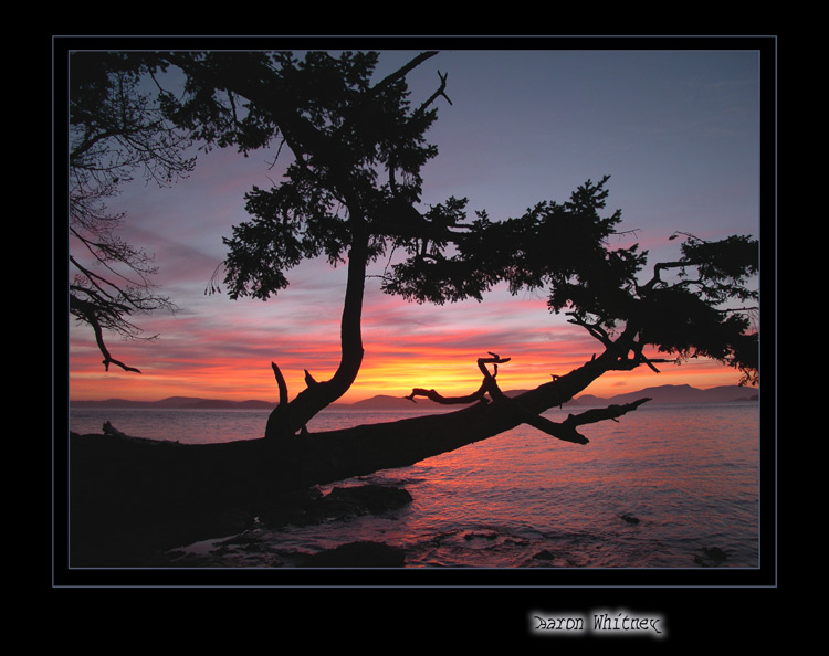 photo "sunset #4" tags: landscape, sunset, water