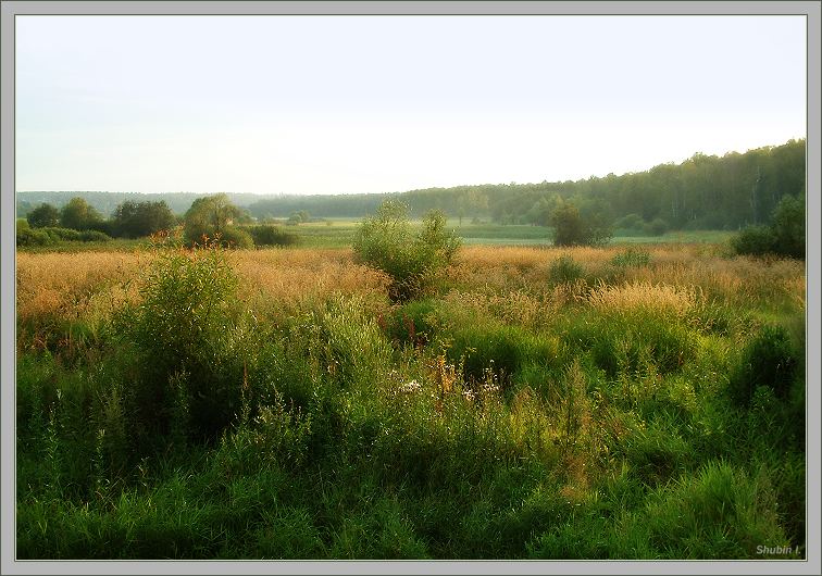 photo "Song about grasses." tags: landscape, summer
