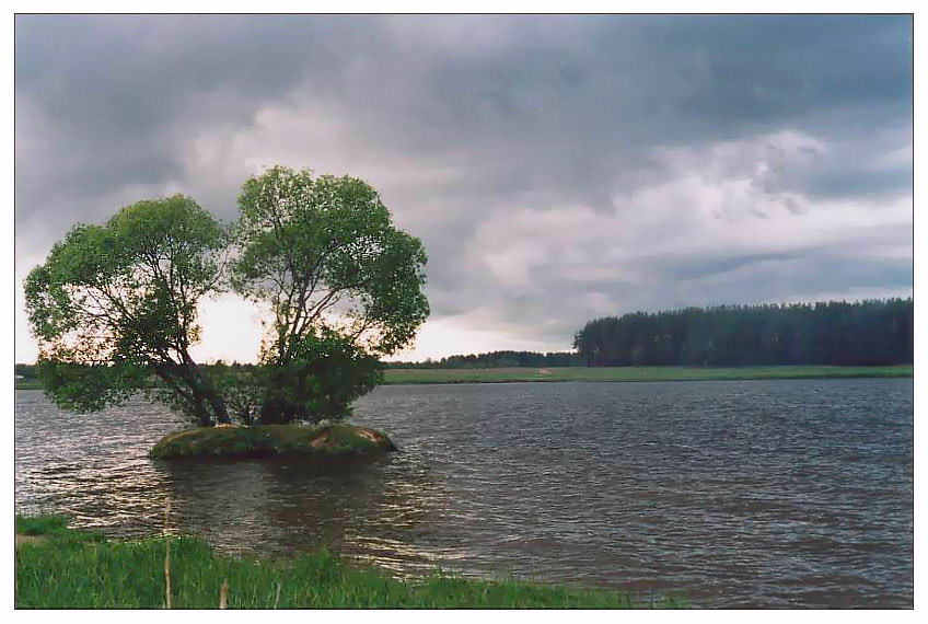 photo "Island on Volga" tags: landscape, 