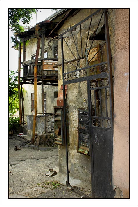 photo "Court yard of cats..." tags: architecture, nature, landscape, pets/farm animals