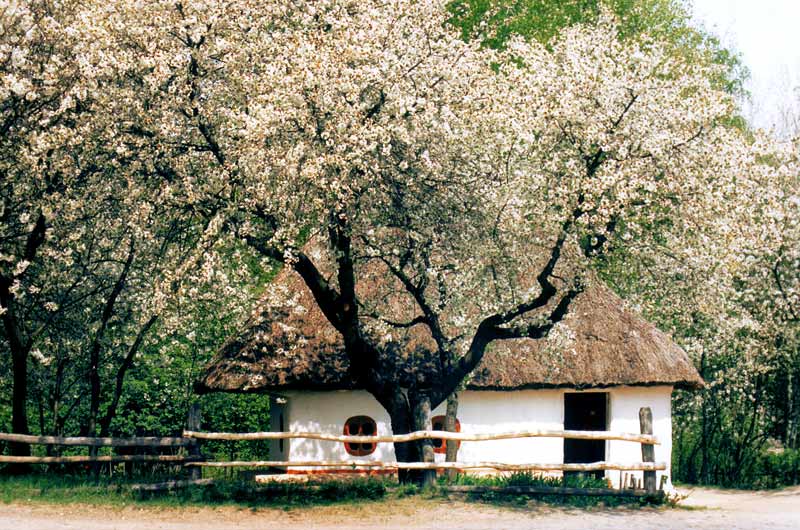 photo "The Old Ukraine - 1" tags: architecture, landscape, spring