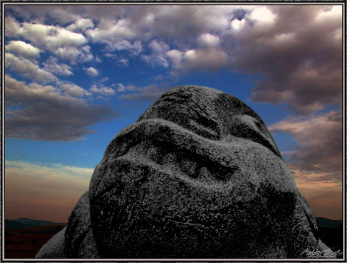 photo "Longing" tags: genre, nature, 